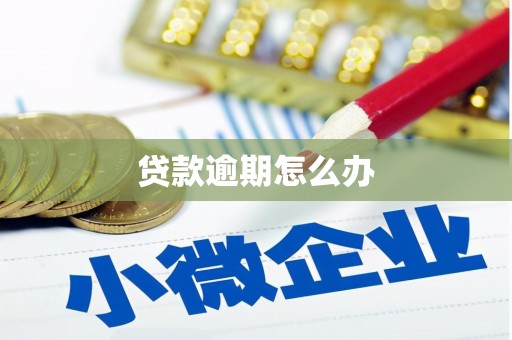 呈贡贷款逾期怎么办