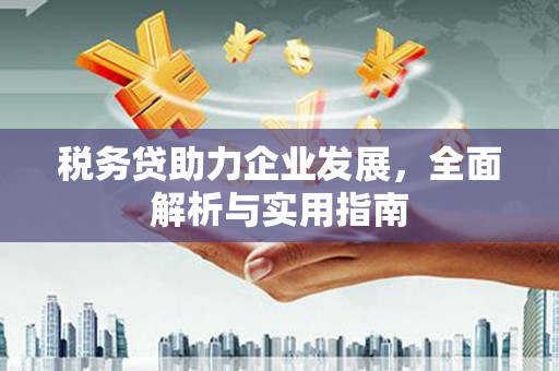 呈贡税务贷助力企业发展，全面解析与实用指南
