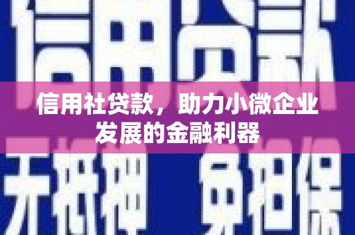 呈贡信用社贷款，助力小微企业发展的金融利器