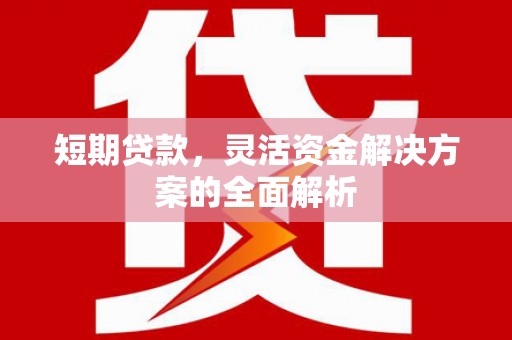 呈贡短期贷款，灵活资金解决方案的全面解析