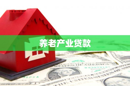 呈贡养老产业贷款