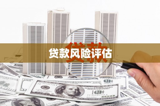 呈贡贷款风险评估