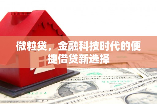 呈贡微粒贷，金融科技时代的便捷借贷新选择