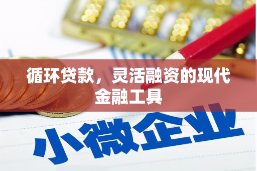 呈贡循环贷款，灵活融资的现代金融工具
