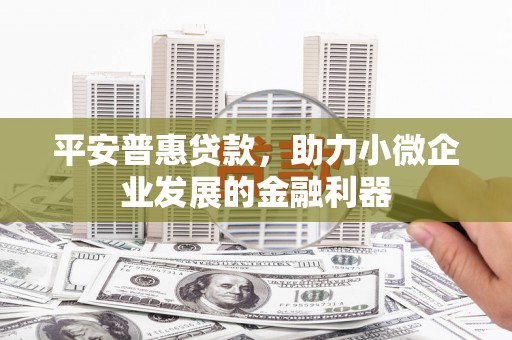 呈贡平安普惠贷款，助力小微企业发展的金融利器
