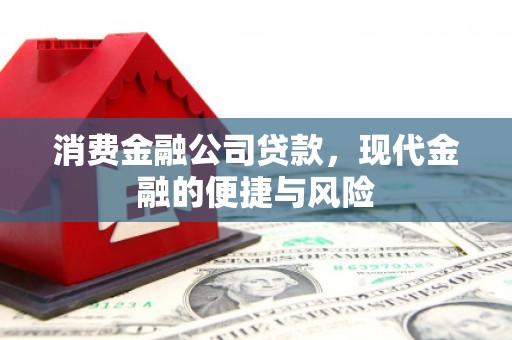 呈贡消费金融公司贷款，现代金融的便捷与风险