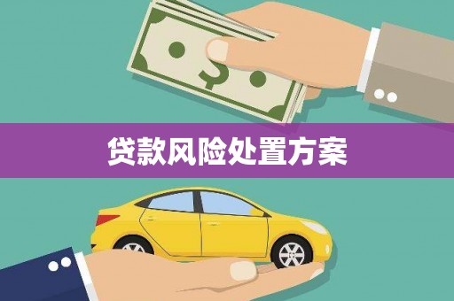 呈贡贷款风险处置方案