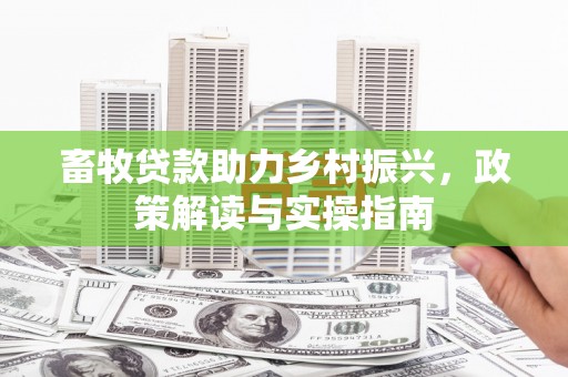 呈贡畜牧贷款助力乡村振兴，政策解读与实操指南