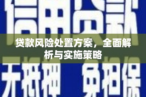 呈贡贷款风险处置方案，全面解析与实施策略
