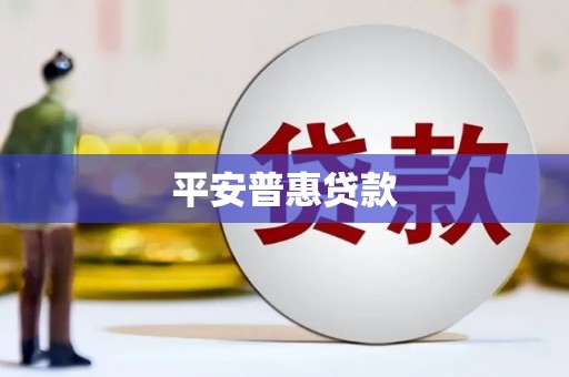 呈贡平安普惠贷款